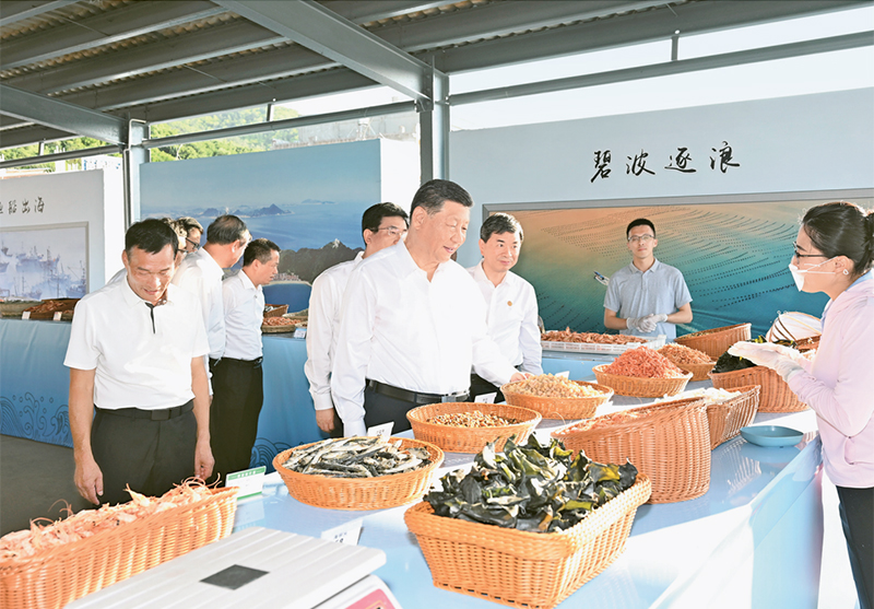 壹定发EDF最新官方网站